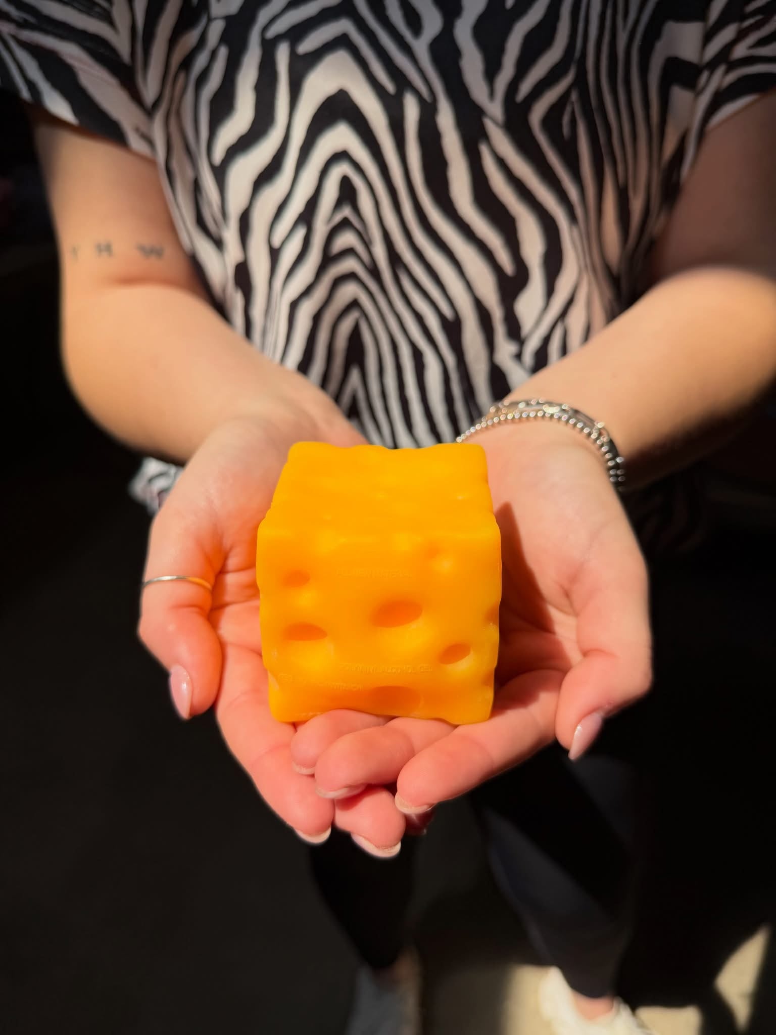 Cheese Squishy