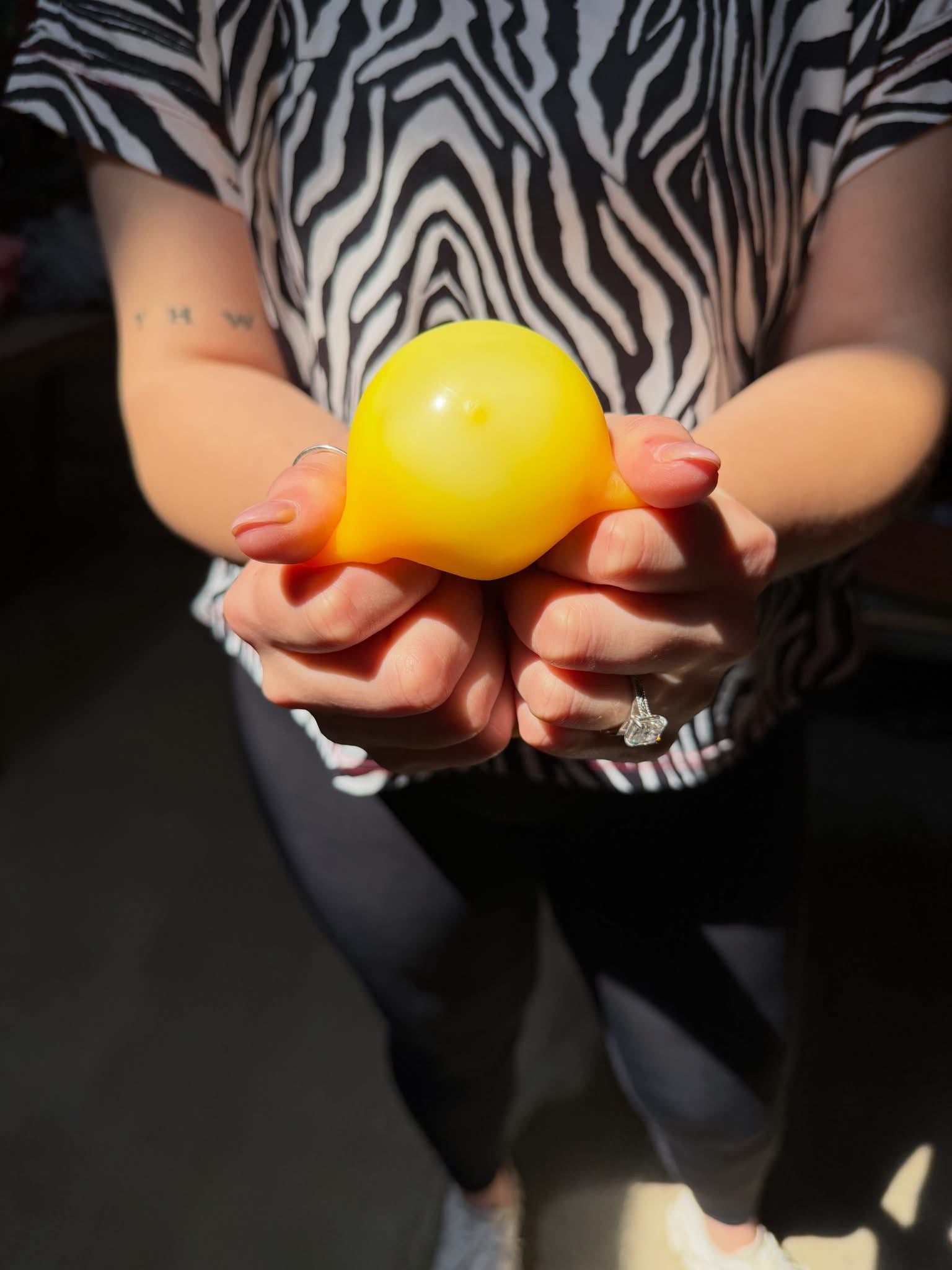 Cheese Squishy